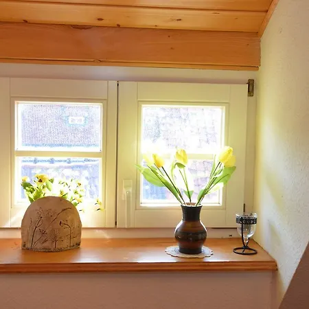 Altstadt-ferienwohnung 1 Apartment